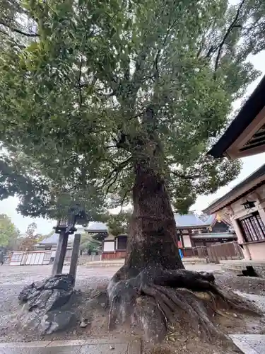 服織神社（真清田神社境内社）(愛知県)