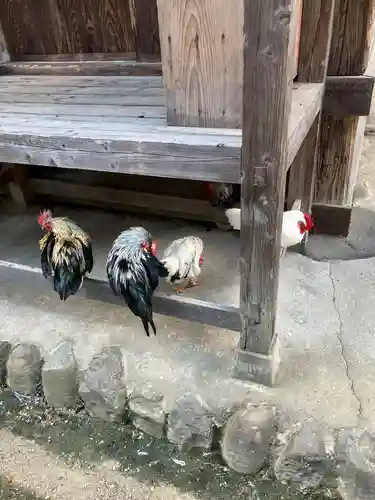 大崎八幡宮(宮城県)