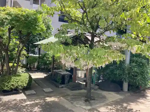 高輪神社の手水