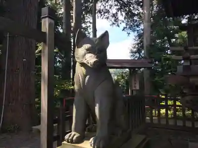武蔵御嶽神社の狛犬