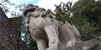 今宮神社の狛犬