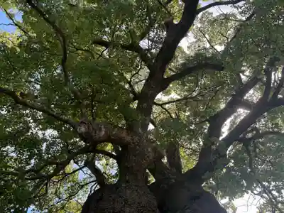 観音寺(愛知県)