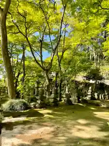 瓦屋寺の庭園(2021年05月08日(土) 06時50分42秒投稿)