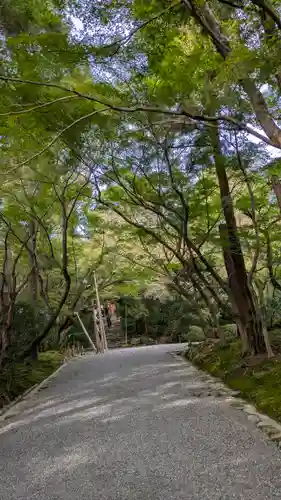龍安寺(京都府)