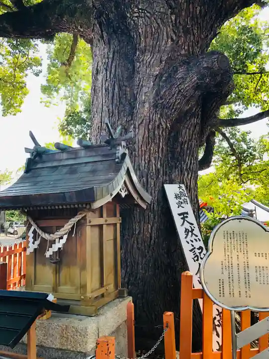 百舌鳥八幡宮(大阪府)