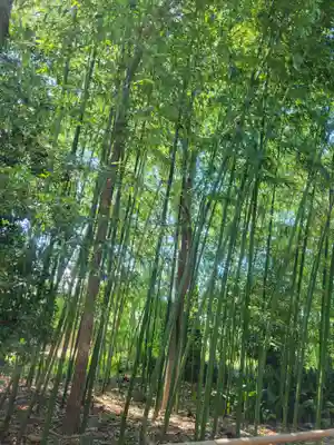 惠依彌二名神社(愛媛県)