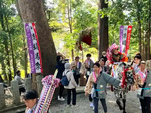 出雲伊波比神社(埼玉県)