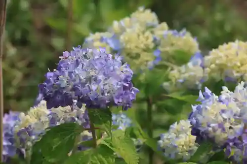 熊野福藏神社の庭園