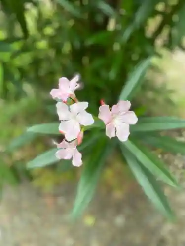 秋葉神社(東京都)