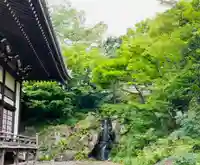 妙蓮寺(神奈川県)