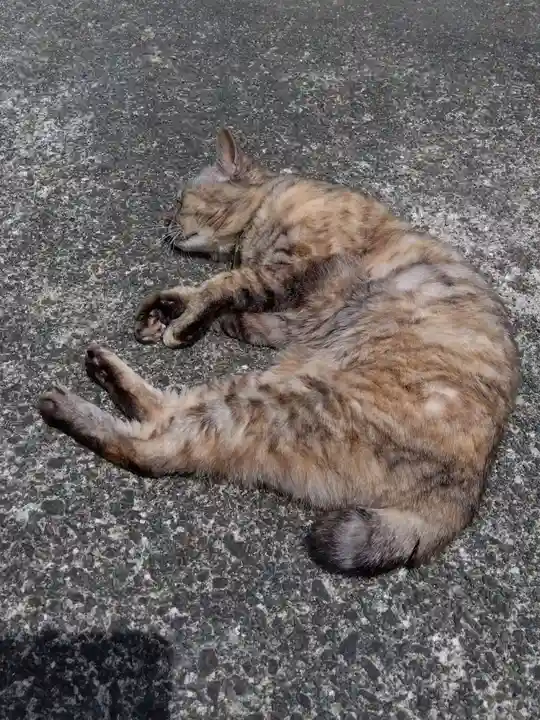 海善寺(静岡県)