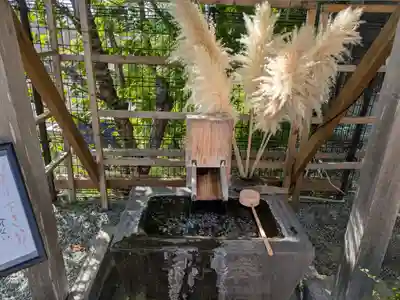 仙台八坂神社(宮城県)