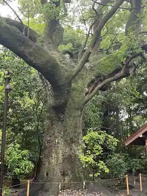 月夜見宮（豊受大神宮別宮）(三重県)