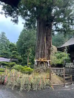 北口本宮冨士浅間神社(山梨県)