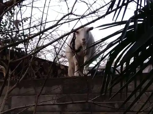  湊八幡神社(福井県)