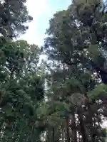 大宮温泉神社(栃木県)