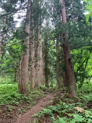 大山祇神社の周辺
