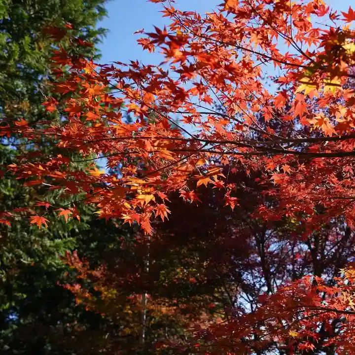 滑川神社 - 仕事と子どもの守り神の自然