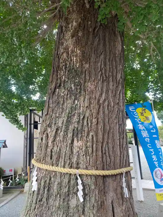髙部屋神社(神奈川県)