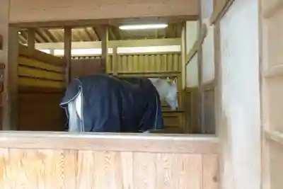 金刀比羅宮(香川県)