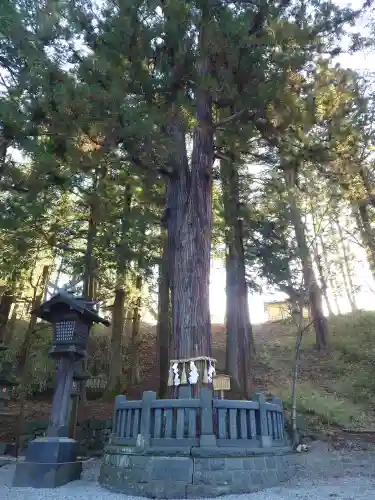 諏訪大社下社春宮(長野県)