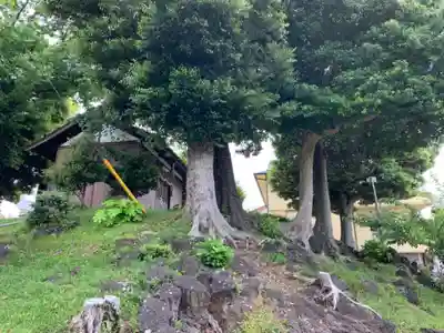 山神神社の自然