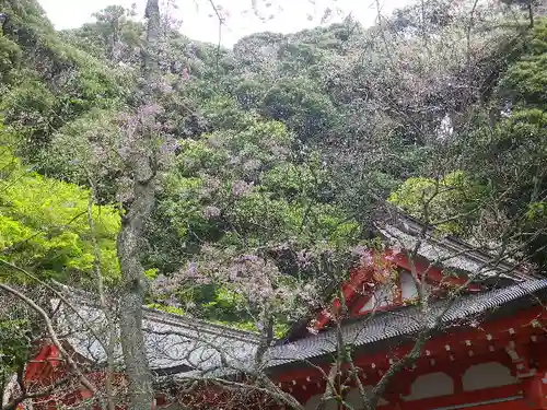 荏柄天神社のその他建物
