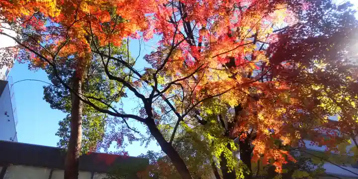 若宮八幡社(愛知県)