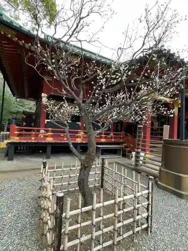 根津神社の自然