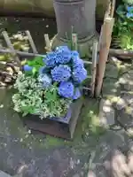 上野東照宮(東京都)