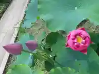 金乘院(千葉県)