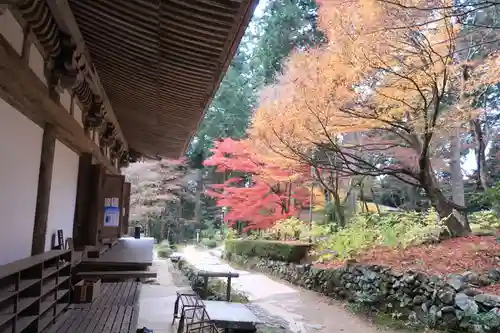 金剛輪寺(滋賀県)