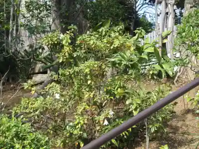 蓮勝寺(神奈川県)