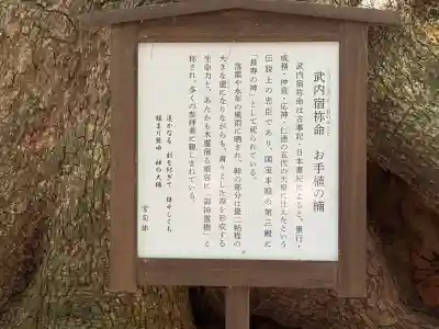 住吉神社の{uncategorized: "未分類", other: "その他", undefined: "問題あり", building: "その他建物", grave: "お墓", sacred_gate: "鳥居", guardian: "狛犬", statue: "像", buddha: "仏像", history: "歴史", nature: "自然", garden: "庭園", animal: "動物", pagoda: "塔", temizu: "手水舎", mountain_gate: "山門・神門", sanctuary: "本殿・本堂", subordinate: "末社・摂社", art: "芸術", scenery: "景色", jizo: "地蔵", ema: "絵馬", goshuin: "御朱印", omikuji: "おみくじ", items: "授与品その他", amulet: "お守り", goshuincho: "御朱印帳", eats: "食事", festival: "お祭り", votive_dance: "神楽", shichigosan: "七五三参", wedding: "結婚式", experience: "体験その他", initially: "初詣", around: "周辺", anti_infection: "感染症対策"}