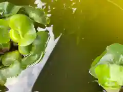 伊勢の国 四天王寺の庭園