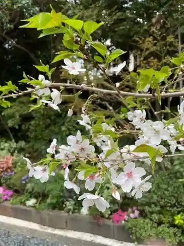 東京大神宮(東京都)