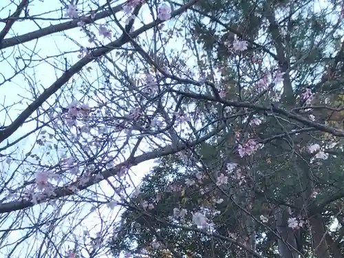 検見川神社の自然