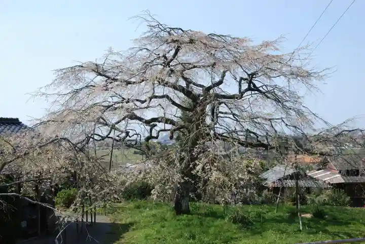南明寺(山口県)