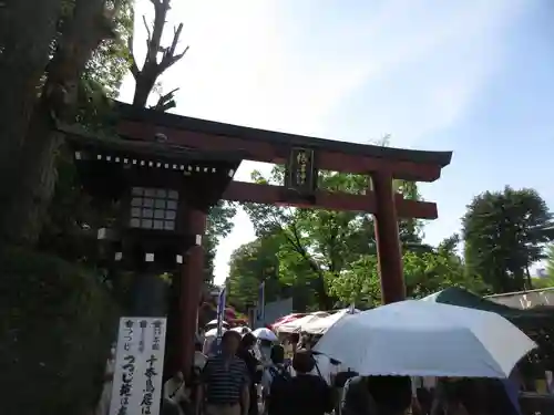 根津神社(東京都)