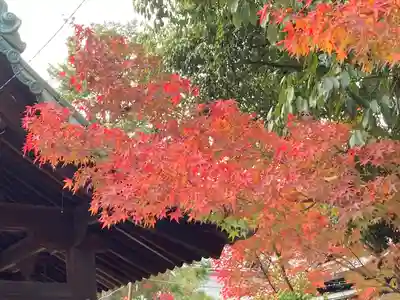 龍田大社(奈良県)