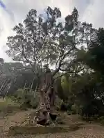 武雄神社(佐賀県)