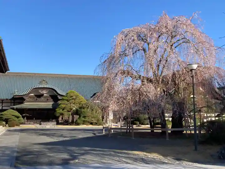 久遠寺(山梨県)