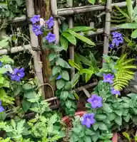 花園稲荷神社(東京都)