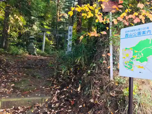 白山神社の建物その他