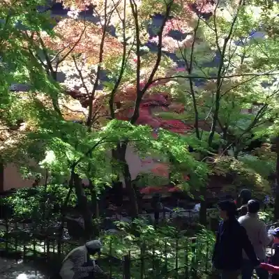 金剛輪寺(滋賀県)