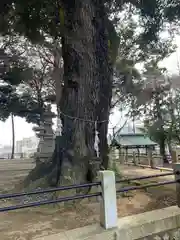 八幡神社(茨城県)