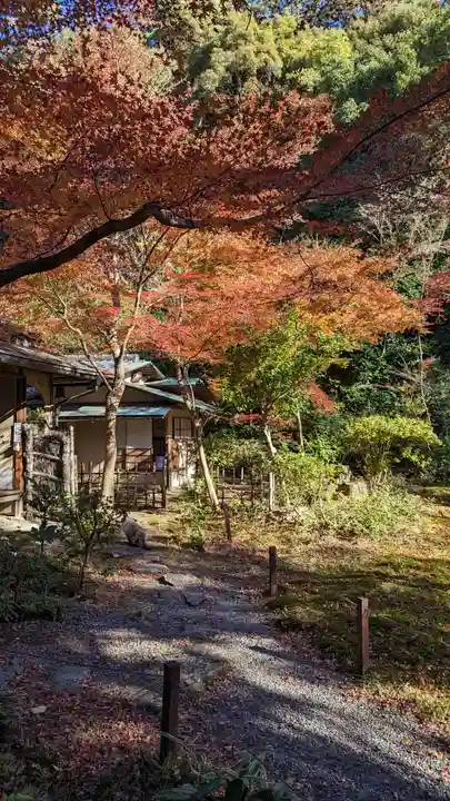 来迎院(京都府)