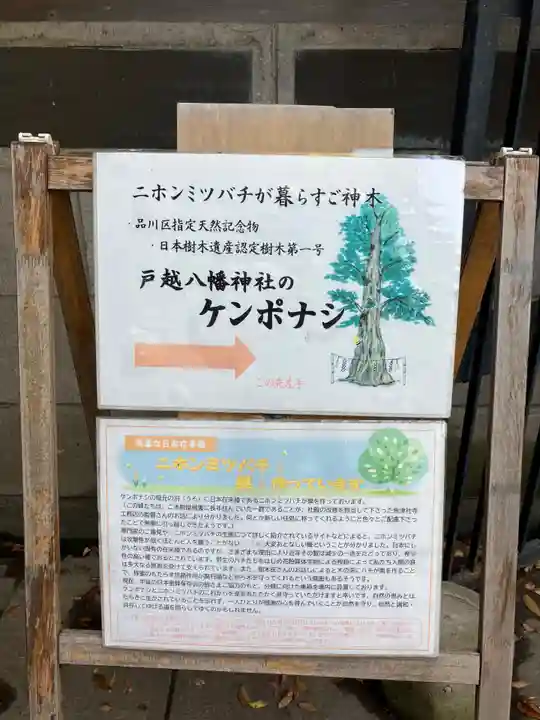 戸越八幡神社のその他建物