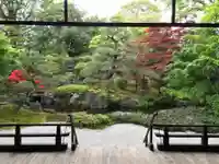 正傳(正伝)永源院の庭園