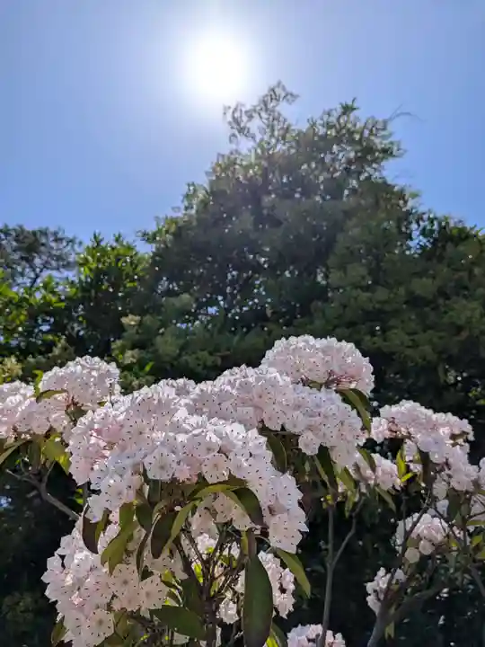 飯倉熊野神社(東京都)